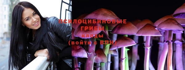 спиды Алексеевка
