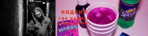 молекула духа Семилуки