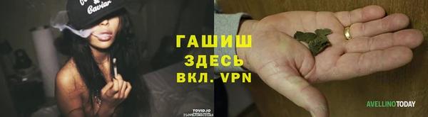 гидропоника Алзамай