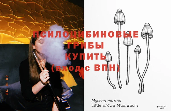 гидропоника Алзамай
