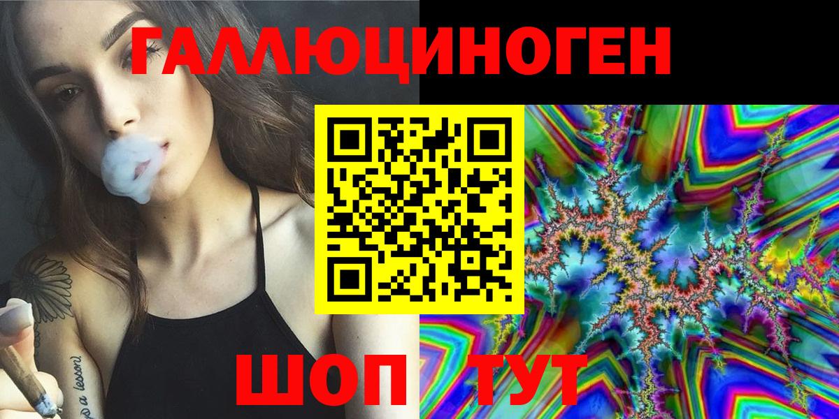 Осинники  Галлюциногенные грибы Psilocybe  Вход с VPN 